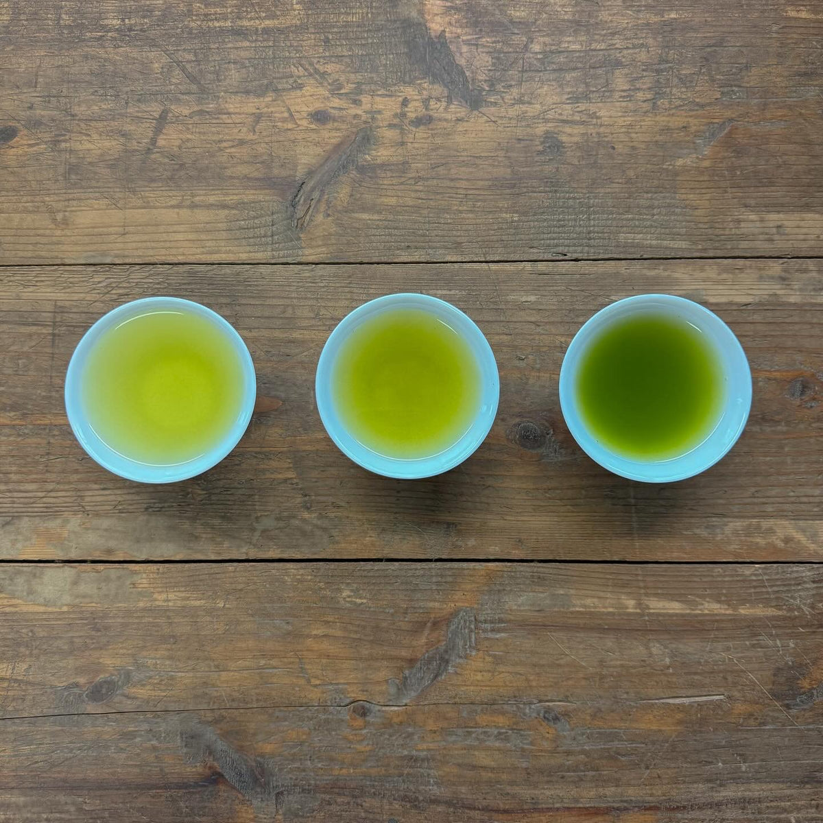 白井 半七梅の彫手焙手橲待合いお茶事